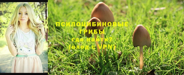 ешки Алексин